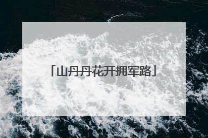 山丹丹花开拥军路